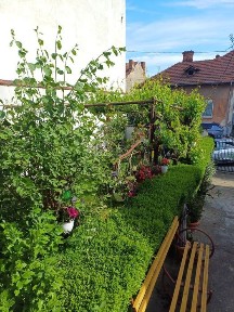 Dolj, Craiova