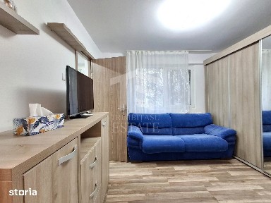Garsonieră de închiriat zona Teiul Doamnei