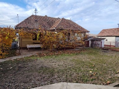 Se vinde casă locuibilă, cu toate utilitățile și 1300 mp teren