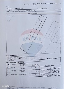 Drumul Tapiei, Lugoj, Timis