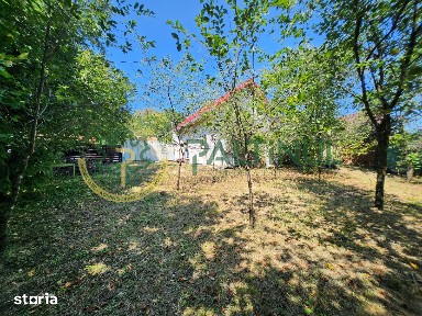 Casa de vanzare Nucet, la 21 km de Sibiu, 864 mp teren cu pomi fructif