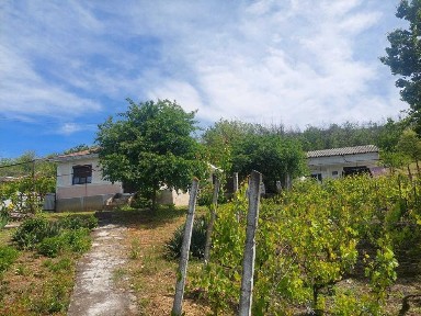 Casă in sat Negrileşti, județul Galați, 1900mp la 15 km de Tecuci.