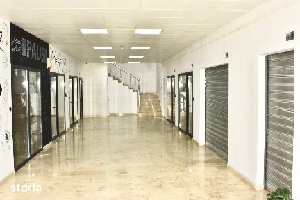 Imobil P+1 Sos Colentina Stradal ideal Shoroom