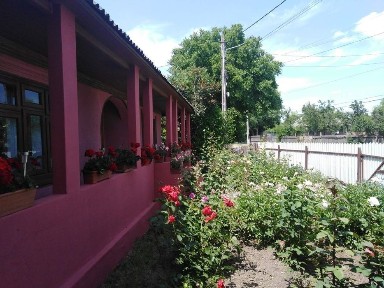 Casă la țară întreținută, 3 camere + teren generos - Trifești județul Iași