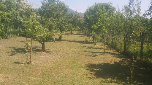 Casa bătrânească de vânzare