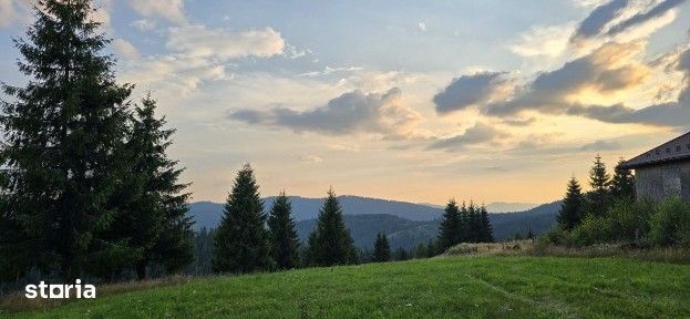 Marisel, Cluj