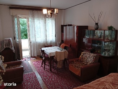 Centru, Arad