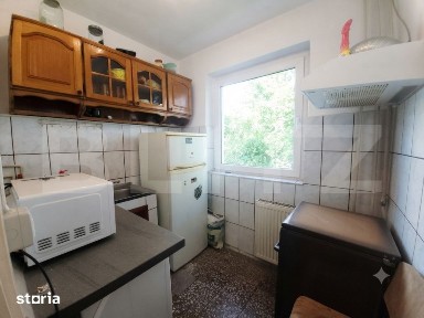 Apartament 1 camera, 24 mp, etaj 1, zona Blascovici