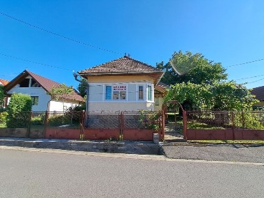 Casa de vanzare in Ibanesti