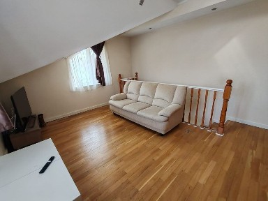 Dambovita, Viforata