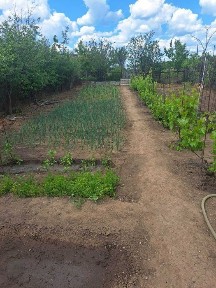 Vand casa corabia pret accesibil si negociabil