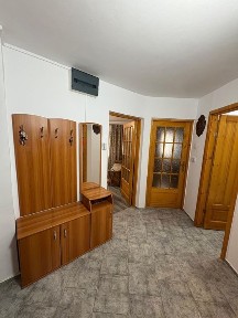 Timis, Timisoara