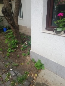 Galati