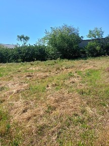 Privat vinde gospodărie în Schela jud. Galați