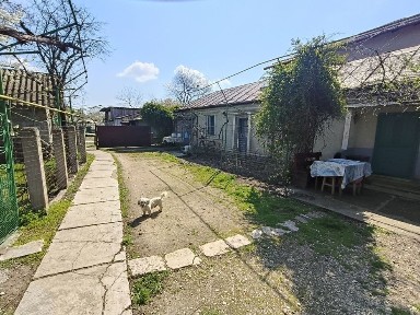 Casă de vânzare in Rosiori de Vede Teleorman (doua case/curte de 1500mp)
