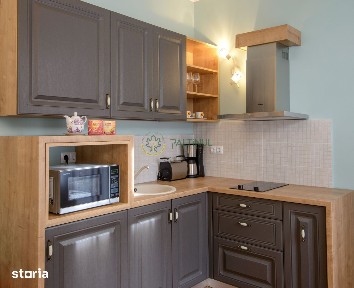 Apartament de inchiriat cu o camera de lux in centrul Sibiului