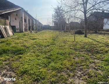 Cenei, Timis