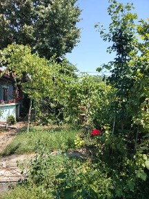 Casa Ploiesti 4 camere si teren 381 mp central