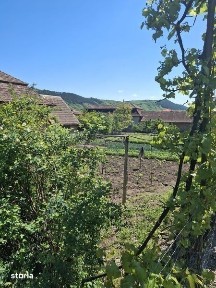Viisoara, Cluj