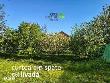 Podu Iloaiei, Iasi
