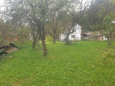 Vand teren si casa veche in viseu de jos