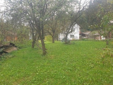 Maramures, Viseu de Jos