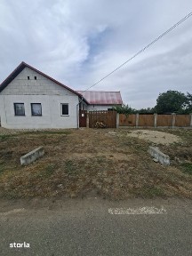 Casa de vinzare in Firiteaz