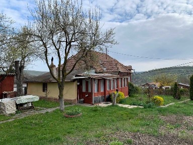 Casa la tara cu teren 2700 MP