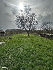 Casa+teren (2700 mp),Sat Sanmarghita (Com Mica),COMISION 0% CUMPARATOR