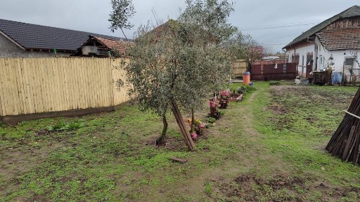 Casa de vânzare Basarabi/Calafat/Dolj