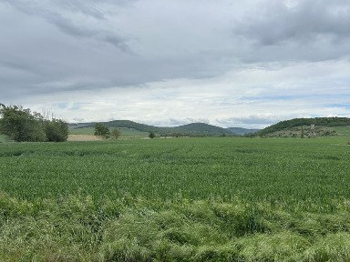 Tulcea, Slava Rusa