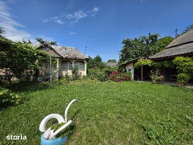 Borsani, Cotofanesti, Bacau