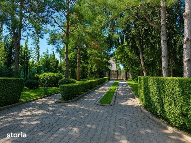 Lakefront Estate | 3.000 mp Teren | Ponton Privat | Snagov