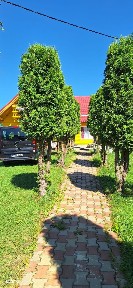 Casa de vanzare Sat Magura, pret negociabil