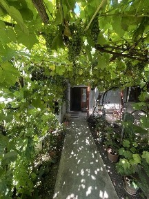 Casa Huși de vanzare