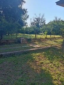 Casă batraneasca teren 700 mp
