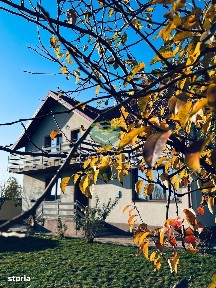 Strada Scolii, Ciolpani, Ilfov