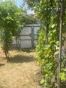 Casă 2 camere Negreni Olt 11000 eur