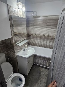 Timis, Timisoara