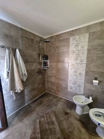 Casa in Hinova de inchiriat
