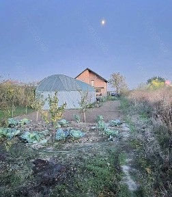 Vând vilă Varlaam Adunații Copăceni Giurgiu