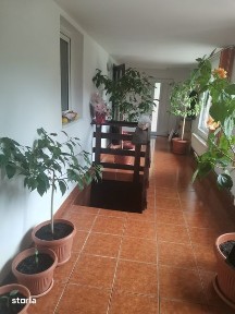 Vand casa cu mansarda Tarlungeni 421 mp