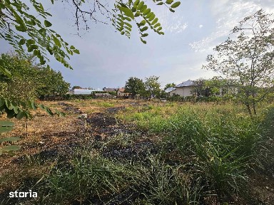 Casă 6 camere+anexă, teren 2000 mp, poziție centrală Vișina Olt 31400€