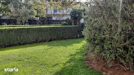 Casă solidă 120 mp, curte 700 mp amenajată - Vânători Petrăchioaia