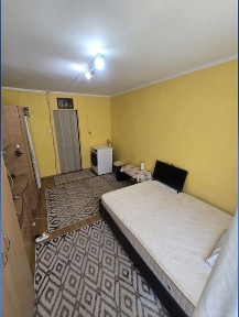 Timis, Timisoara