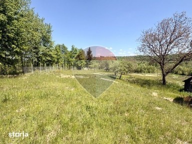 Casa+1 hectar teren intravilan BREB MARAMURES