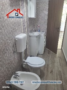G. Bacovia, Bacau