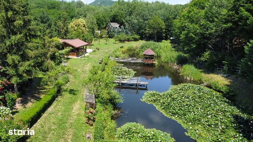 Daesti, Valcea