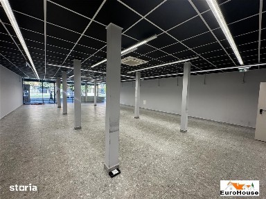 Spatiu de inchiriat in Alba Iulia Cetate