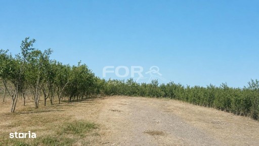 Casa cu 1133 mp de vanzare in Cauasd Bihor